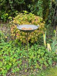 Antique Grey Bird Bath Feeder Garden Giftware Decor Decoration - thumbnail 1