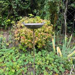 Antique Grey Bird Bath Feeder Garden Giftware Decor Decoration - thumbnail 3