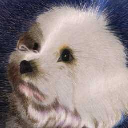 Custom Hand-Embroidered Pet Portrait - Personalised Keepsake Wall Art - thumbnail 3