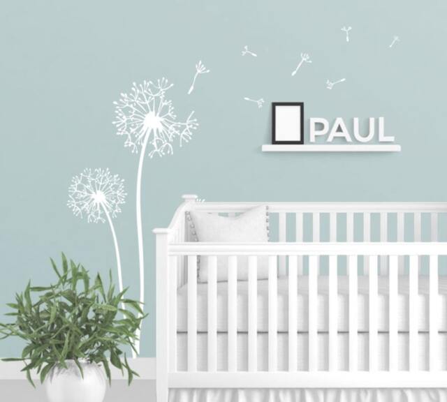 Dandelions Decalflying Seeds Decals For Walls Floral Wall Sticker Stick On Art By Decalisland -Dandelions Flower Sd 095 - image 1