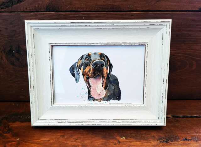 Doberman Print 17x12cm - White Rustic Frame - Elegant Guard Dog Wall Art, Gift For Owners - image 1