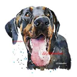 Doberman Print 17x12cm - White Rustic Frame - Elegant Guard Dog Wall Art, Gift For Owners - thumbnail 2