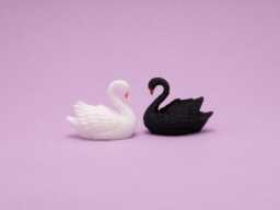 Swan Miniature, Dollhouse Decor, Diorama Accessory, Collectible Display, Elegant, Cake Topper, Wedding, Black Or White - thumbnail 1