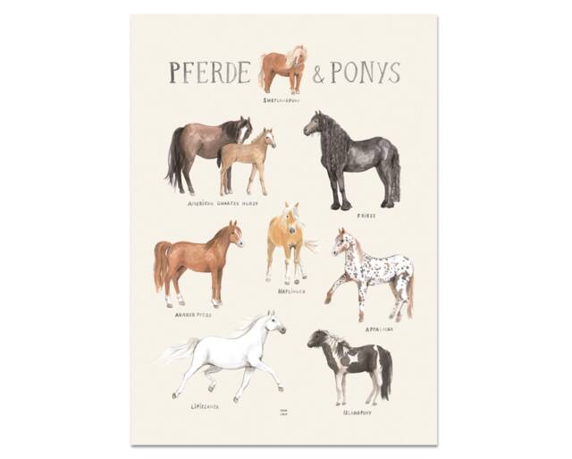 Horses & Ponies Poster A3 A2 Children's Room Girls Boys Children Animals Horse Breeds Povalala German Watercolor Nature Riding - image 1