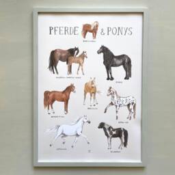 Horses & Ponies Poster A3 A2 Children's Room Girls Boys Children Animals Horse Breeds Povalala German Watercolor Nature Riding - thumbnail 3