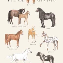 Horses & Ponies Poster A3 A2 Children's Room Girls Boys Children Animals Horse Breeds Povalala German Watercolor Nature Riding - thumbnail 2