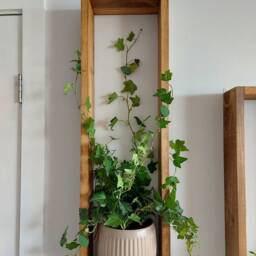 Rustic Wood Box Shelves Long Wall Decor, Plant Display - Set Of 2 - thumbnail 3