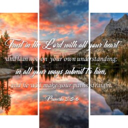 Proverbs 35-6 #29 Niv Trust in The Lord Bible Verse Canvas - Christian Scripture Religious Wall Art Home Decor Paintings - thumbnail 3