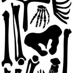 Halloween Life Size Skeleton Wall Decal - Large Spooky Vinyl Bones - thumbnail 3