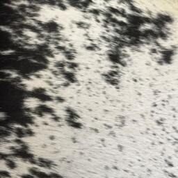 Cowhide Rug Tricolor Nguni Cow Hide Extra Large Animal Skin South African Home Decor Soft Furnishings Black White Gray Print Pattern - thumbnail 3