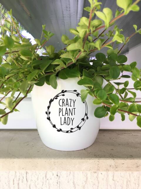 Crazy Plant Lady Decal, Diy Planter Sticker