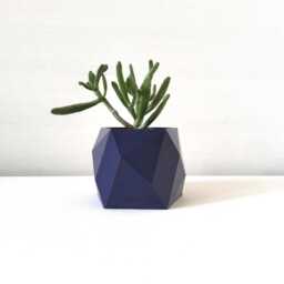Geometric Indoor Planters, Plant Pot For Cacti & Small Plants - thumbnail 1
