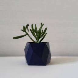 Geometric Indoor Planters, Plant Pot For Cacti & Small Plants - thumbnail 2