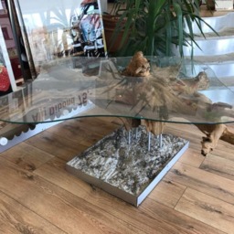 Root Table Made From Original Eifel Root With A Glass Top Of Esg Safety - thumbnail 2