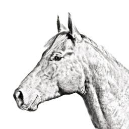 Holsteiner - Wooden Stand For Candles/Pens With The Image Of A Horse New Collection - thumbnail 2
