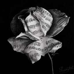 Rosenote - Music Lover Art Print Music, Sheet Music, Paper Rose, Charcoal Drawing - thumbnail 1