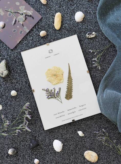 Astrological Herbarium Cancer Framed Natural Pressed Flowers, Framed Dried Flower Herbarium, Personalized Gift For - image 1
