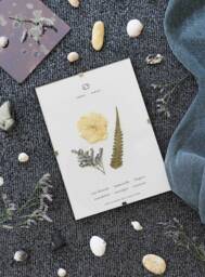 Astrological Herbarium Cancer Framed Natural Pressed Flowers, Framed Dried Flower Herbarium, Personalized Gift For - thumbnail 1