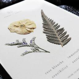 Astrological Herbarium Cancer Framed Natural Pressed Flowers, Framed Dried Flower Herbarium, Personalized Gift For - thumbnail 2