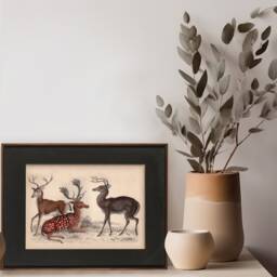 Vintage Deer Print Victorian Zoology Wall Art, Wildlife Gift - thumbnail 3