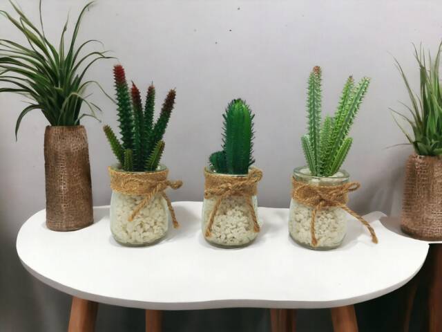 Faux Succulent Set Potted Artificial Plants in Glass With White Stones - image 1