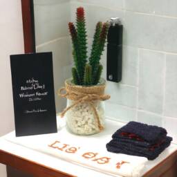 Faux Succulent Set Potted Artificial Plants in Glass With White Stones - thumbnail 3