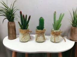Faux Succulent Set Potted Artificial Plants in Glass With White Stones - thumbnail 1