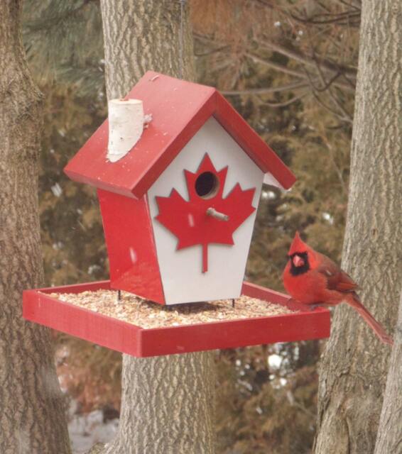 Canadian Bird Feeder - image 1