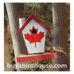 Canadian Bird Feeder - thumbnail 3
