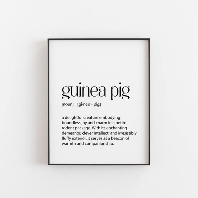 Guinea Pig Definition Typography Print For Animal Lovers, Pig D??cor, Small Pet Poster, Gift Friends That Have Guinea Pigs - image 1