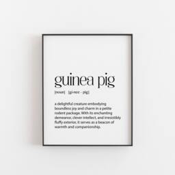 Guinea Pig Definition Typography Print For Animal Lovers, Pig D??cor, Small Pet Poster, Gift Friends That Have Guinea Pigs - thumbnail 1
