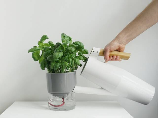 Kapi Small - Sleek - image 1