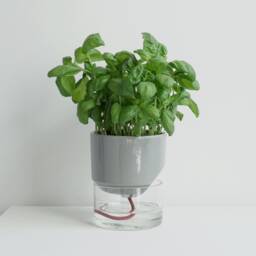 Kapi Small - Sleek - thumbnail 3