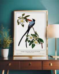 Audubon Bird Prints, Vintage Illustration, Wall Art, Birds Of America, Decor, Prints Unique Gift Idea, Nature - thumbnail 1