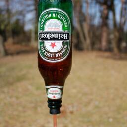 Hummingbird Feeder From Beer Bottle Heineken - thumbnail 4