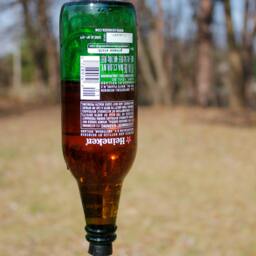Hummingbird Feeder From Beer Bottle Heineken - thumbnail 2
