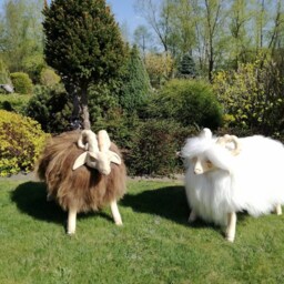 New Sheep Stool, Beautiful Pouf in The Shape Of Sheep Natural Icelandic Fur, Hand-Carved Wooden Elements Really Long, Soft Hair - thumbnail 2
