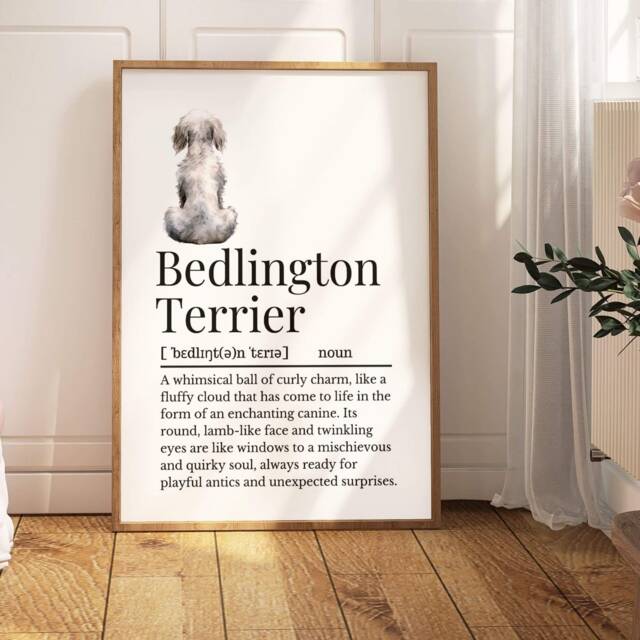 Bedlington Terrier Definition Print, Wall Print For Owner, Dog Owner Gift, Mum - image 1