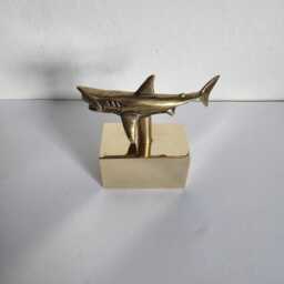 Shark in Brass - thumbnail 2
