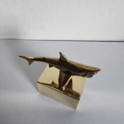 Shark in Brass - thumbnail 4