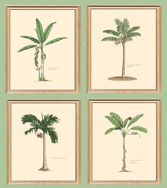 Palm Tree Prints Set Antique Tropical Wall Art, Coastal Decor - image 1
