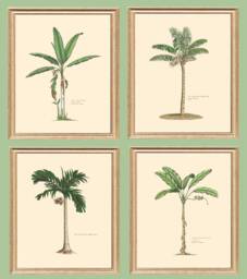 Palm Tree Prints Set Antique Tropical Wall Art, Coastal Decor - thumbnail 1