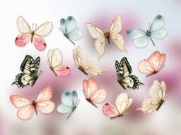 Watercolor Butterfly Window Clings Double Sided Pastel Stickers - thumbnail 1
