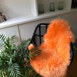 Pride, Rainbow, Bright Colours , Sheepskin Rug, Chair Cover, Bed Throw, Fur, Interior Design, Home Decor, Working From - thumbnail 4