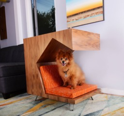 Modern Dog Bed. Side Table Furniture. House & Home - thumbnail 1