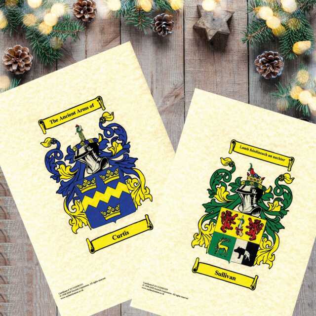 A4 Coat Of Arms Print - Heraldic Family Crest - Framed - image 1