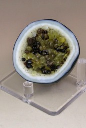 "Fused Glass ""Topaz" - thumbnail 1