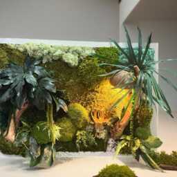 "Illuminated, Stabilized Panoramic Plant Frame - Unique Piece Designer Wall Luxury Nature Decoration ""The Tropical Embrace" - thumbnail 3