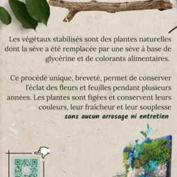 "Illuminated, Stabilized Panoramic Plant Frame - Unique Piece Designer Wall Luxury Nature Decoration ""The Tropical Embrace" - thumbnail 4