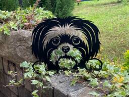 Shih Tzu Dog Breed Steel Wall Art, Garden Decoration, Gifts, Free Delivery UK Mainland